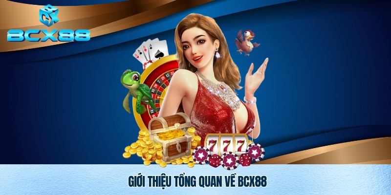 Câu hỏi thường gặp Bcx88