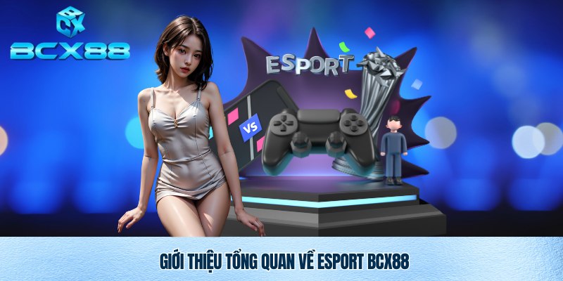 Tìm hiểu tổng quan về Esport BCX88
