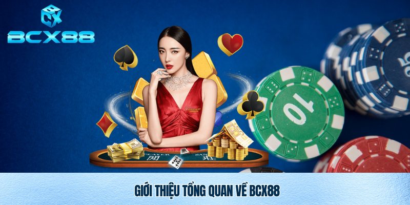 Tổng quan về nhà cái uy tín BXC88